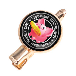 HZF-0062 Заколка Удачные вложения