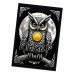 MI276 Магнитный талисман Рост денежного потока