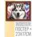 POSG-0249 Постер в рамке 23x17см Хаски