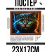 POSG-0336 Постер в рамке 23x17см Котёнок