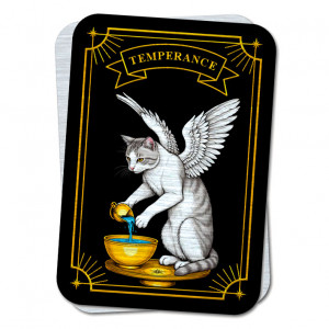 YAN719 Кошачье Таро Temperance - Умеренность